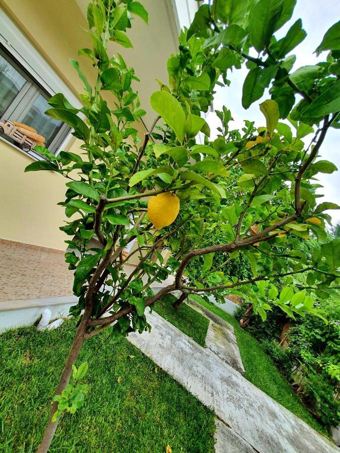 Apartamenty Rodzinne Kamena Vourla Bagian luar foto